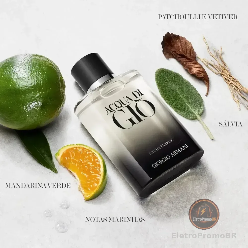 Perfume Masculino Giorgio Armani Acqua di Giò Eau de Parfum Refilável 100ml