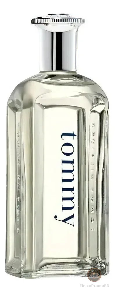 Perfume Eau De Toilette Masculino 100ml Tommy Hilfiger