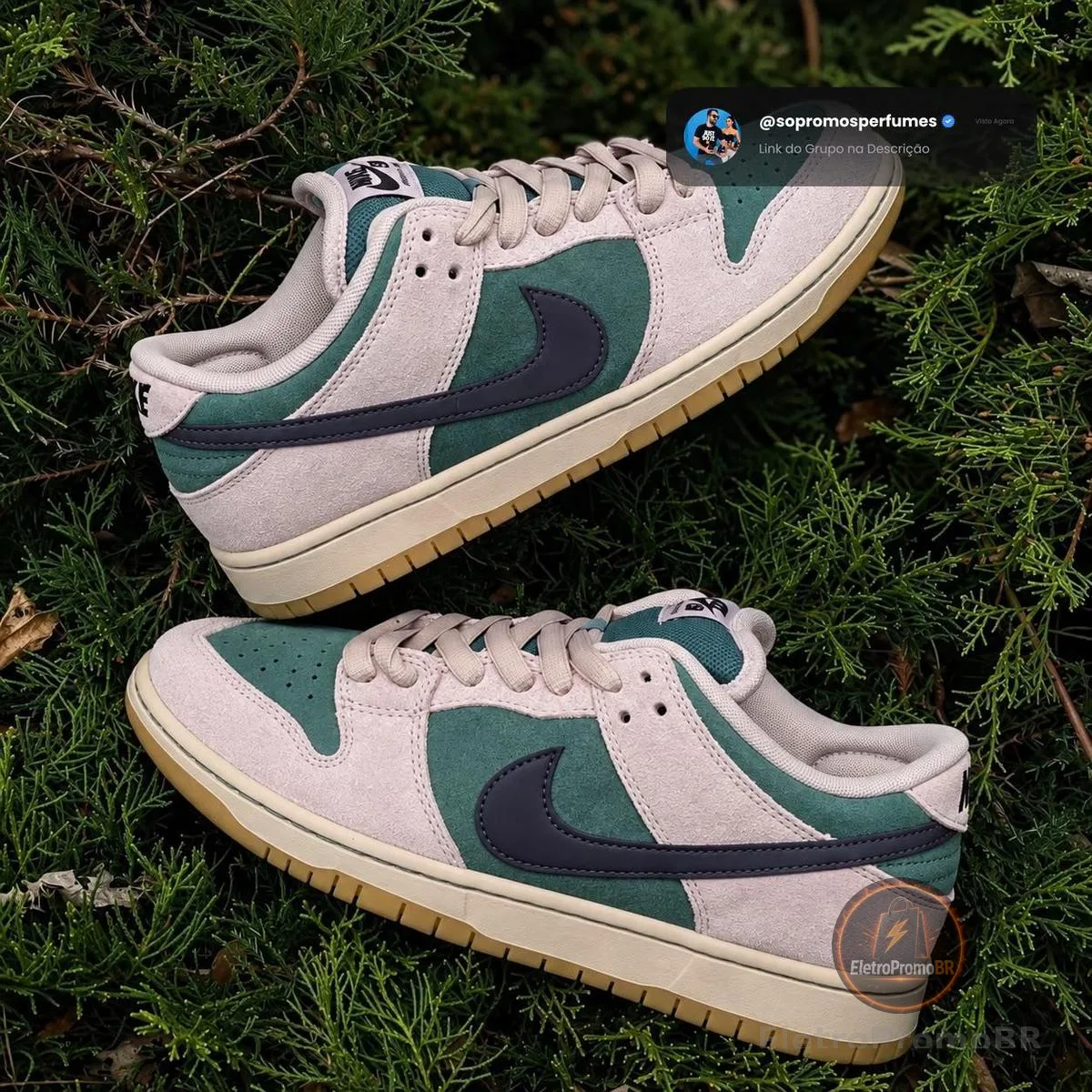 Nike Sb Dunk Low Pro
