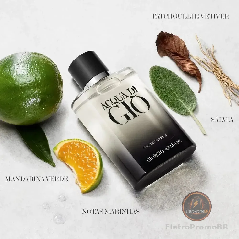 Perfume Masculino Giorgio Armani Acqua di Giò Eau de Parfum Refilável 100ml