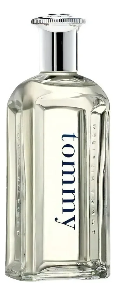 Perfume Eau De Toilette Masculino 100ml Tommy Hilfiger