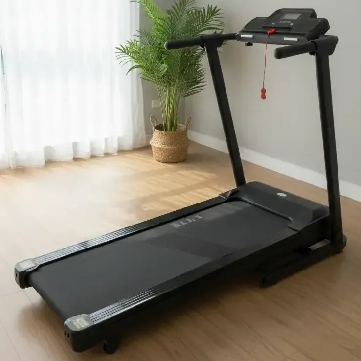 Esteira Elétrica Ergométrica Bivolt Ginastica Wct Fitness Cor Preto