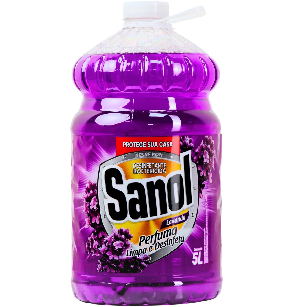 Desinfetante Líquido Para Uso Geral Lavanda 5 Litros Roxo