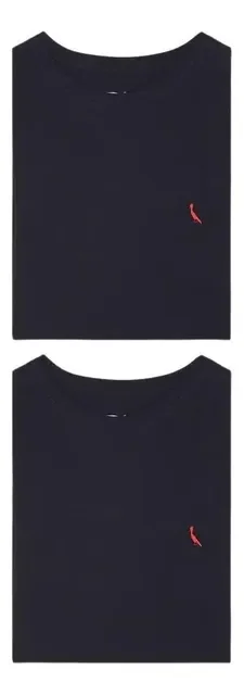 Kit 2 Camisetas Brasa Pica Pau Bordado Reserva