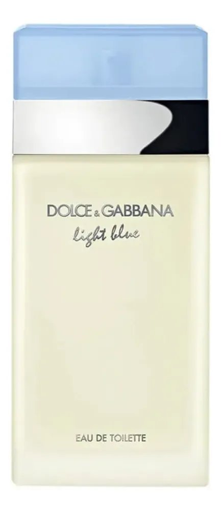 Dolce Gabbana Light Blue Feminino Eau De Toilette 100ml