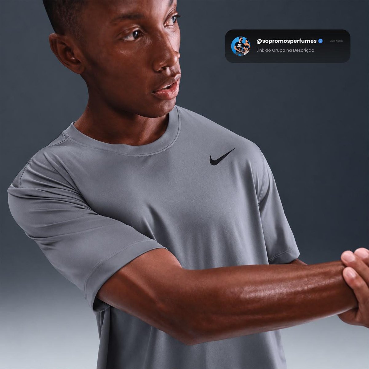 Camiseta Dri Fit Nike Flex Masculina
