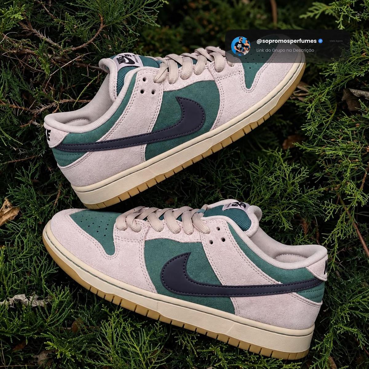 Nike Sb Dunk Low Pro